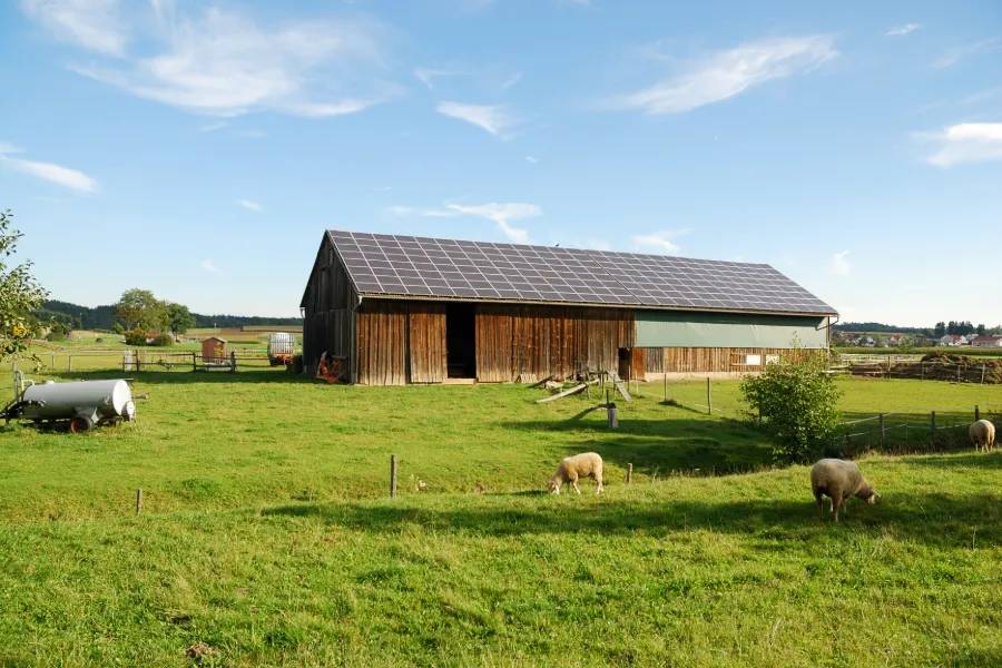 Solar Panels on Farm